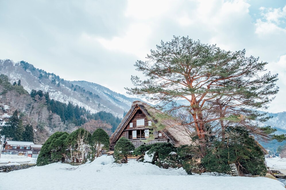 big-hut-snow-shirakawago-japan_1150-11185