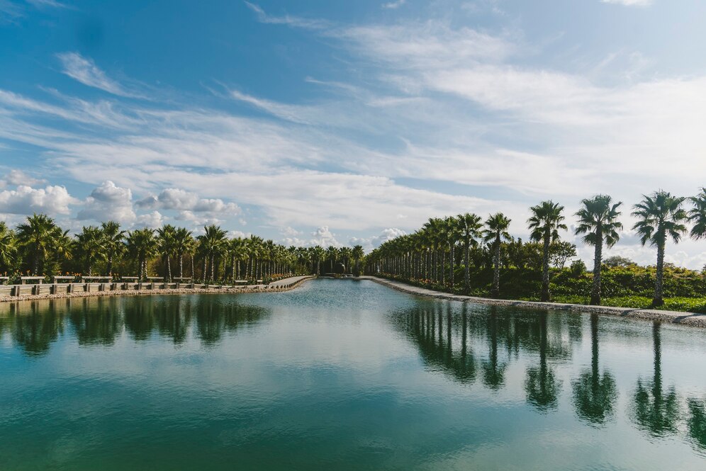 palms-beautiful-garden-reflected-lake-daytime_181624-15510